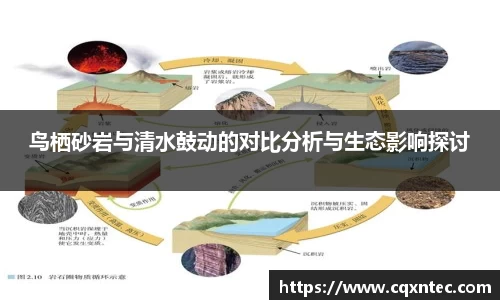 yy易游体育app
